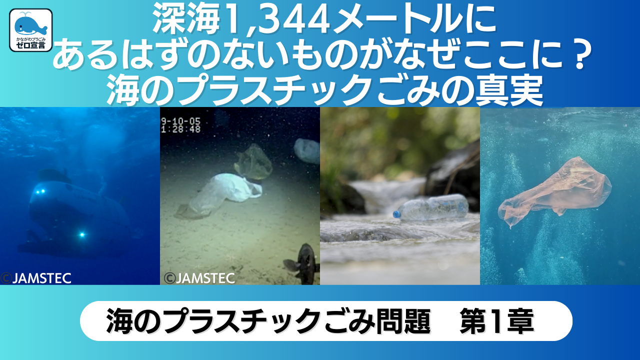 サムネイル海01最終稿-1.png